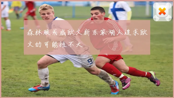 森林狼或成欧文新东家湖人追求欧文的可能性不大